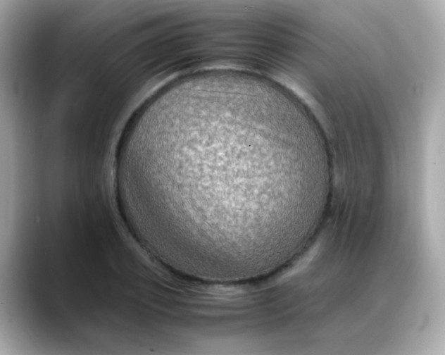 X0000088400933200706051133