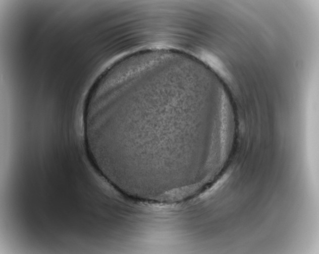 X0000088400934200706051133