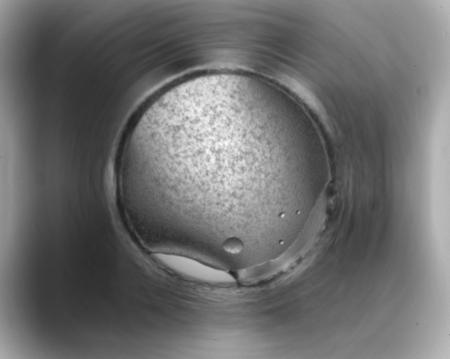 X0000088400936200706051133