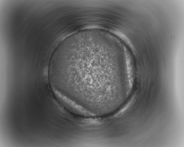 X0000088400937200706051133