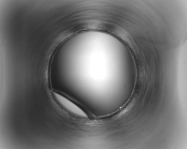 X0000088400938200706051133