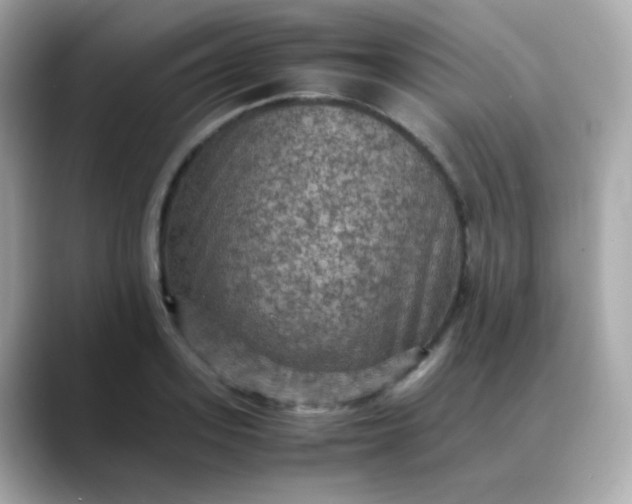 X0000088400939200706051133