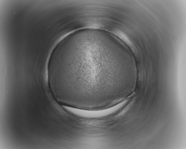 X0000088400940200706051133