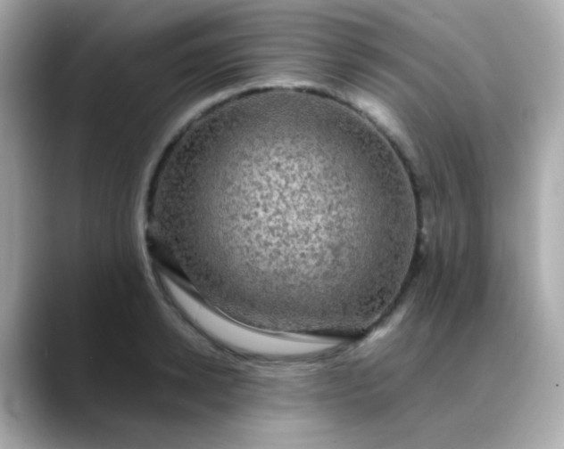 X0000088400942200706051133