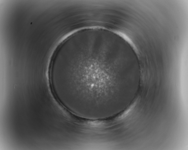 X0000088400943200706051133