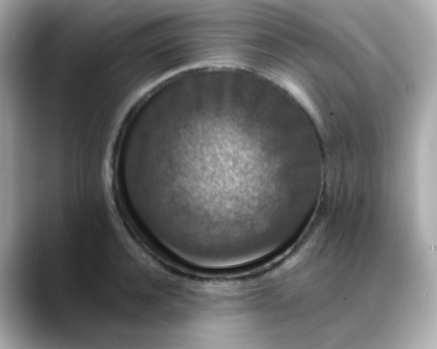 X0000088400944200706051133