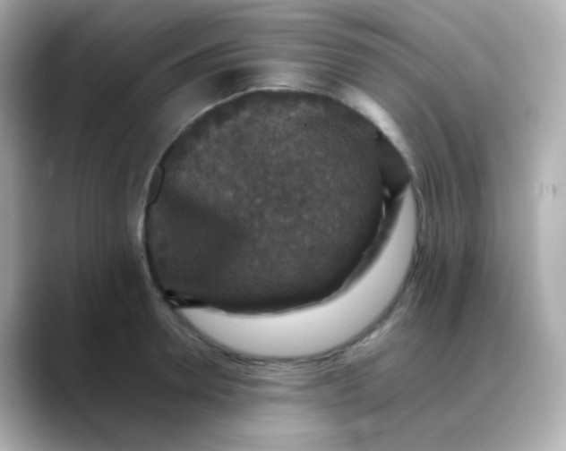 X0000088400946200706051133