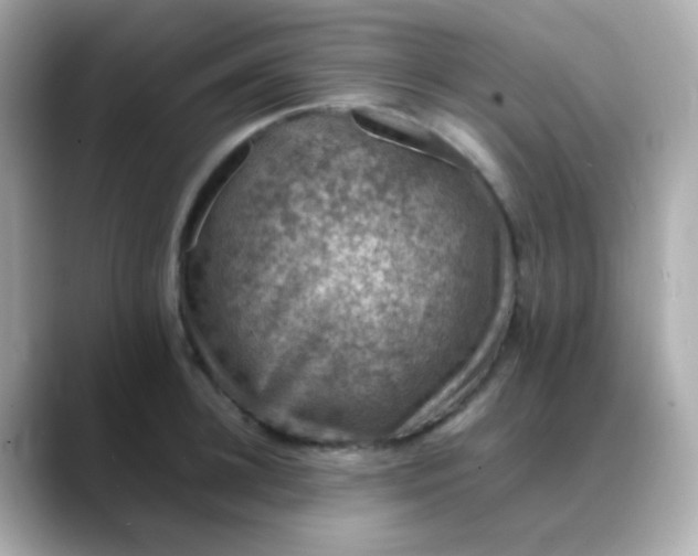 X0000088400948200706051133