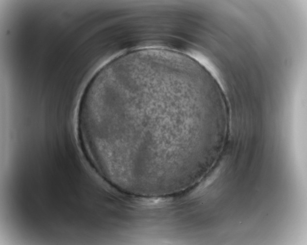 X0000088400949200706051133