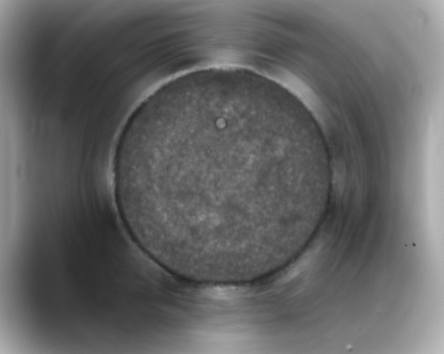 X0000088400950200706051133