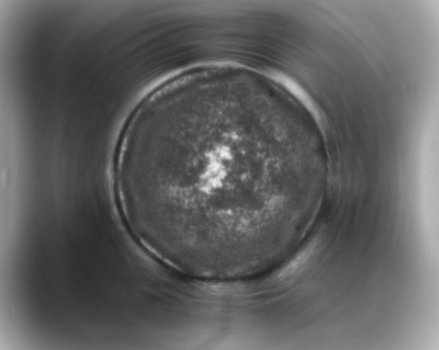 X0000088400951200706051133