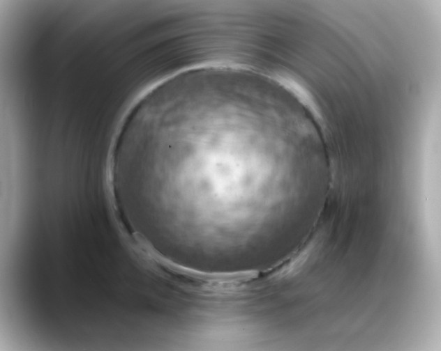 X0000088400952200706051133