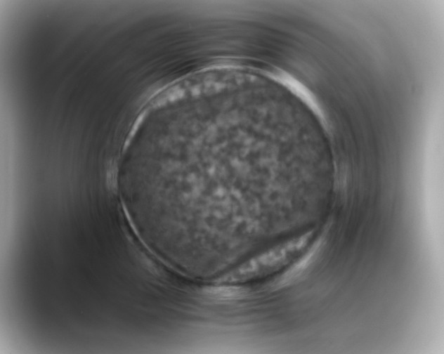 X0000088400953200706051133