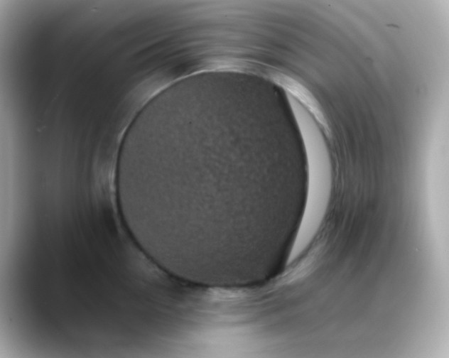 X0000088400954200706051133