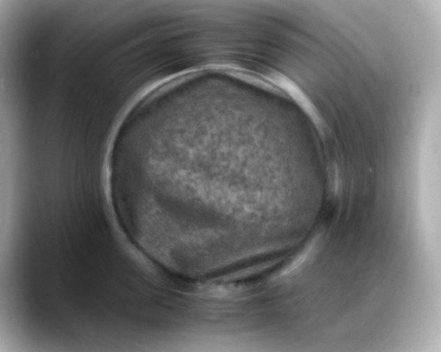 X0000088400955200706051133