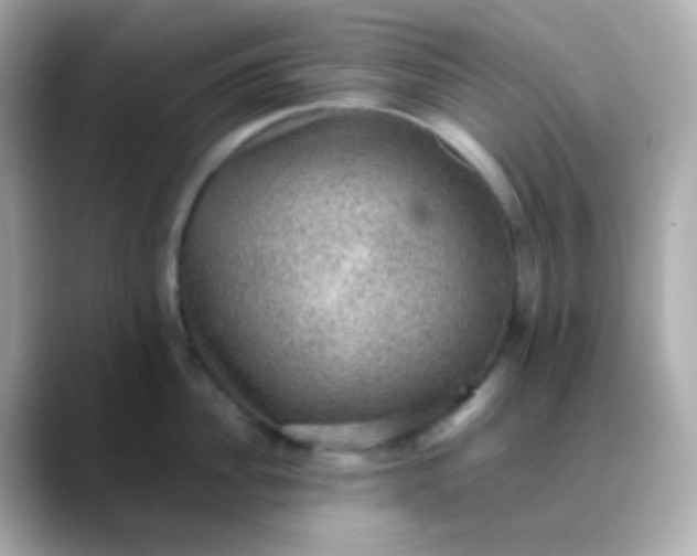 X0000088400956200706051133