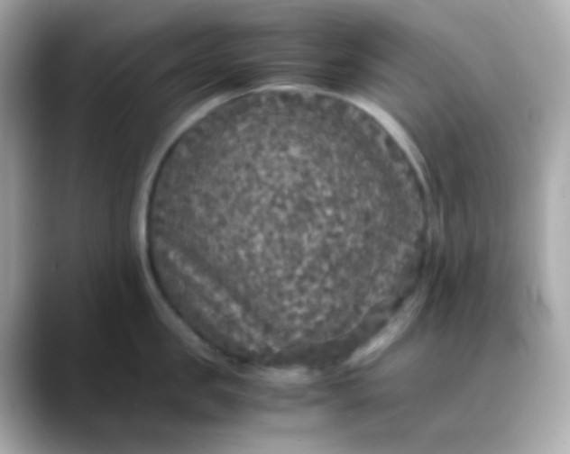 X0000088400957200706051133