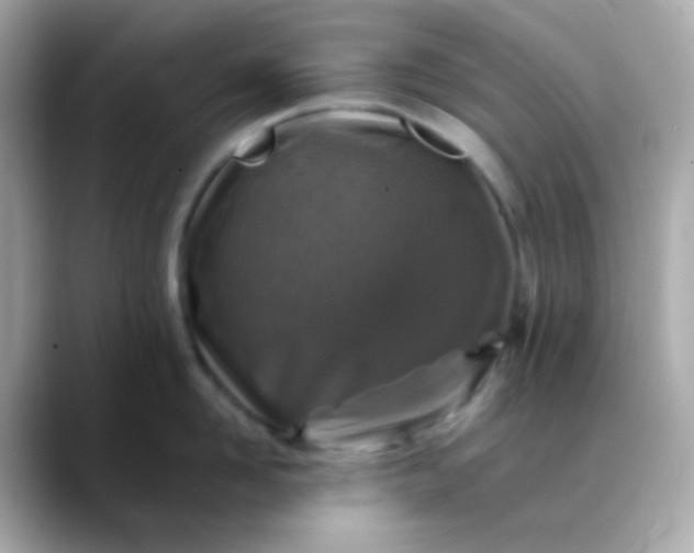 X0000088400958200706051133