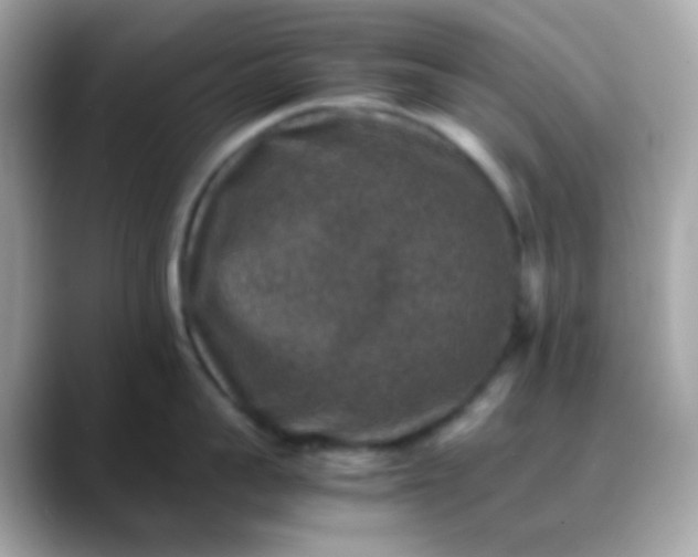 X0000088400959200706051133