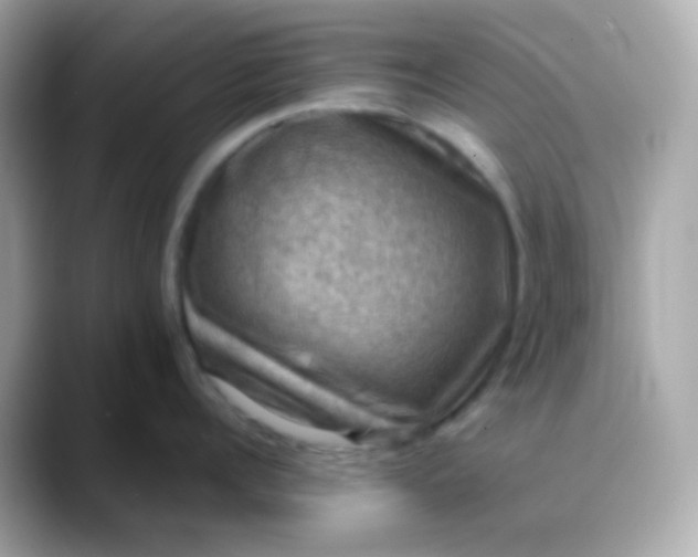 X0000088400960200706051133