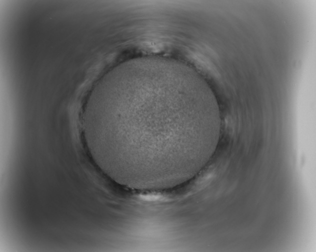 X0000088400961200706051133