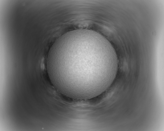 X0000088400962200706051133