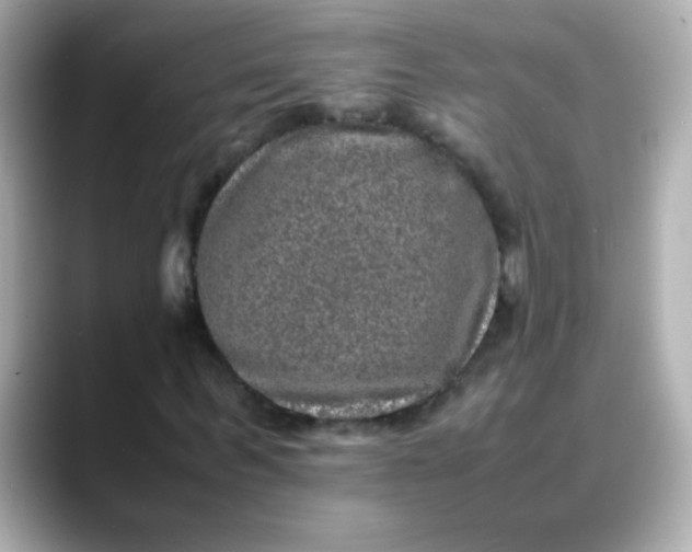 X0000088400963200706051133