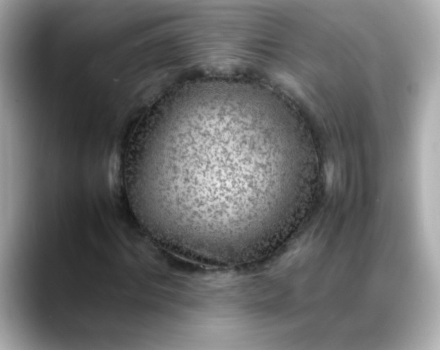 X0000088400964200706051133