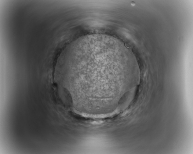 X0000088400965200706051133