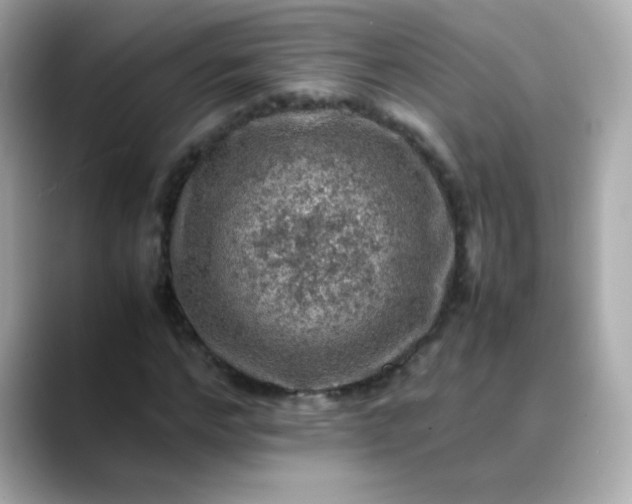 X0000088400968200706051133