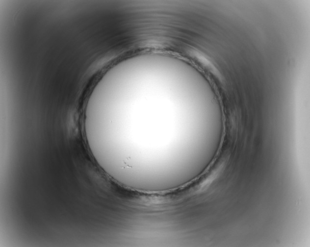 X0000088400970200706051133