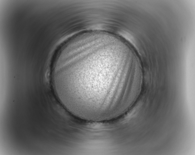 X0000088400971200706051133