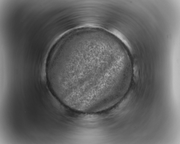 X0000088400972200706051133