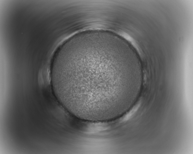 X0000088400973200706051133