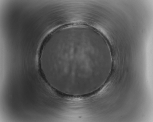 X0000088400975200706051133