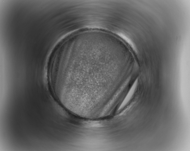 X0000088400976200706051133