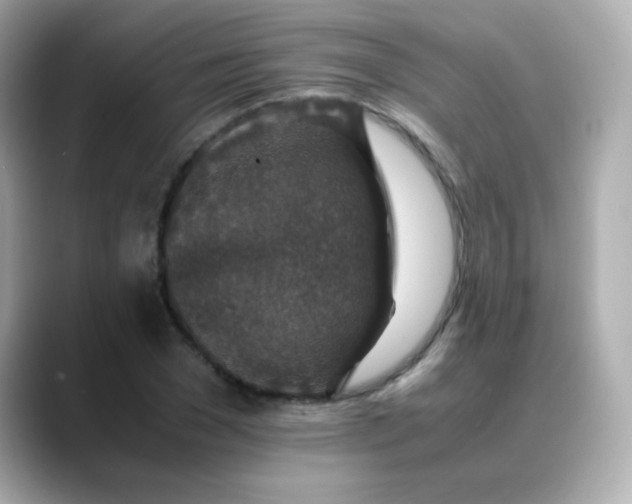 X0000088400977200706051133