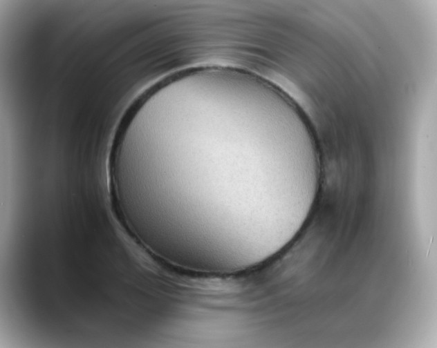 X0000088400980200706051133