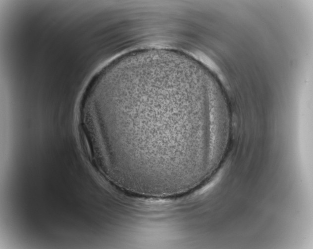 X0000088400981200706051133