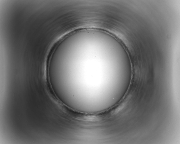 X0000088400982200706051133