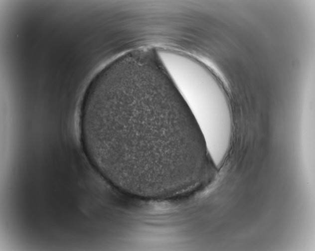 X0000088400983200706051133