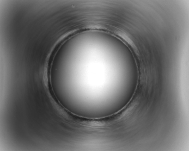 X0000088400984200706051133