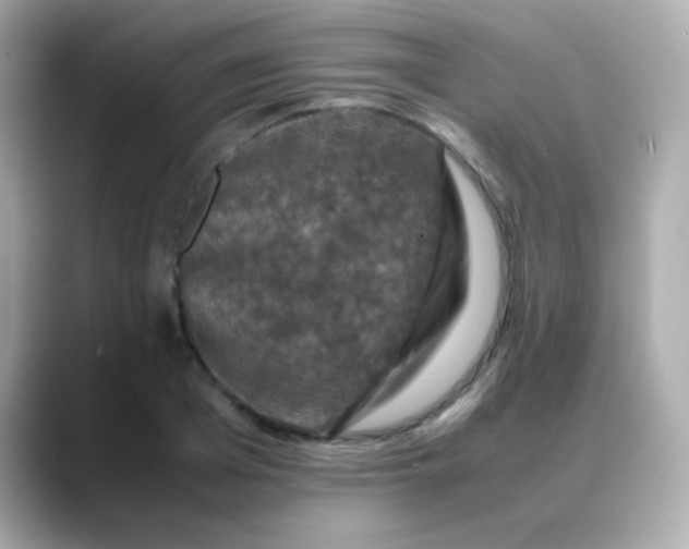 X0000088400985200706051132