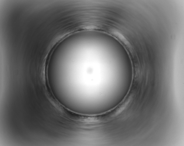 X0000088400986200706051132