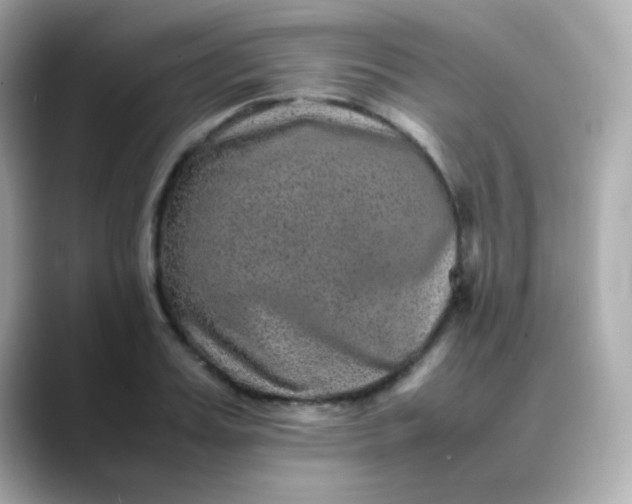 X0000088400987200706051132