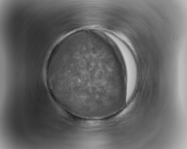 X0000088400989200706051132