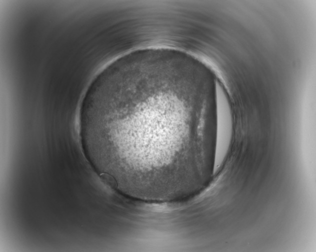 X0000088400990200706051132