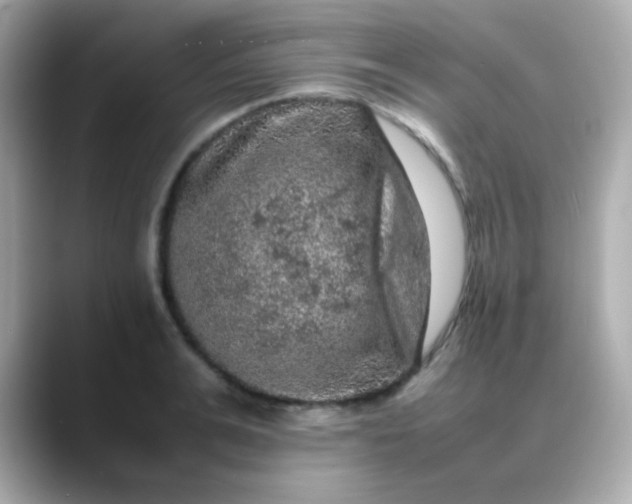 X0000088400991200706051132