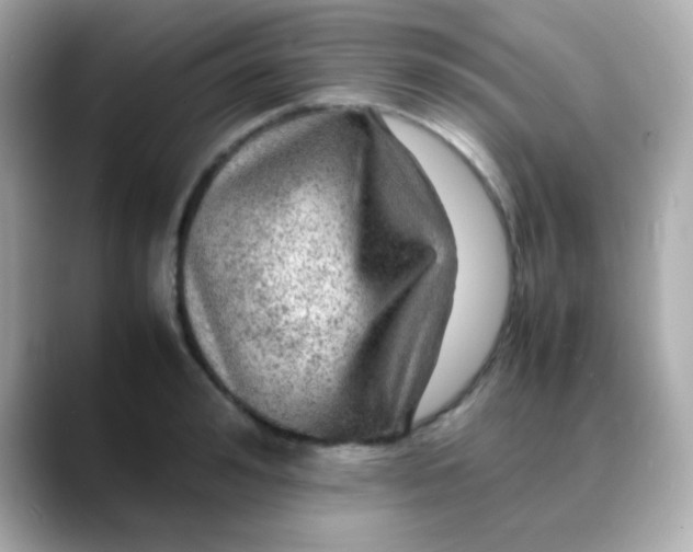 X0000088400992200706051132