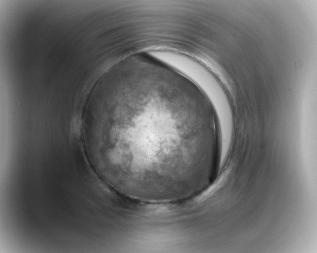 X0000088400993200706051132